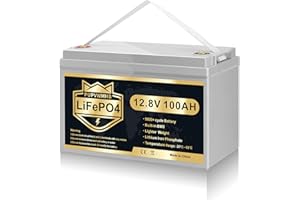 PUPVWMHB 12V 100Ah LiFePO4 Akku, 1280Wh Lithium Batterie mit 100A BMS und Max.15000 Zyklen, Unterstützung in Serie/Parallelschaltung, Perfekter Ersatz für Blei-Säure für Wohnmobile, Solaranlage, Boote