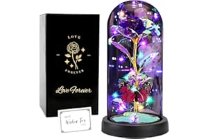 ‎FAYODO FAYODO Die Schöne und das Biest Ewige Rose, Galaxy Rose Geschenk für Freundin, Rose in Einer Glaskuppel mit LED-Licht, Geschenk für Mama (Lila)