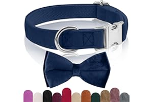KTWSUEF Collare Cane, papillon cane Collare per Cani Velluto, Collare per Cani Comodo Resistente, Papillon per Cani Rimovibile Regolabile, Per Matrimoni, Compleanni, Eventi Festivi