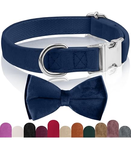 Unique Style Paws Hundehalsband Aus Seide – Verstellbar, Weich, Für Kleine Hunde, Hochzeit & Besondere Anlässe