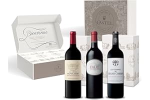 CASTEL CHATEAUX GRANDS CRUS Coffret Cadeau - Vin Rouge - Coffret Découverte Saint Emilion Grand Cru : Folie De Chauvin - Charmes de Grand Corbin - La Croix Montlabert - 3x75cl