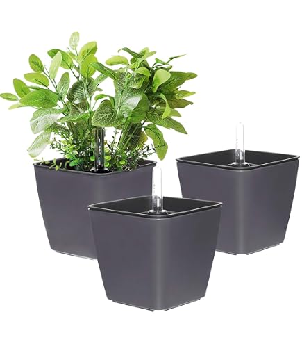 Pflanzschale Silber Set7 Hydrokultur Pflanzschale - 7-teilig Mit Blähton Und Dünger 51x18,5x15 Cm Hydrokultur System Komplett
