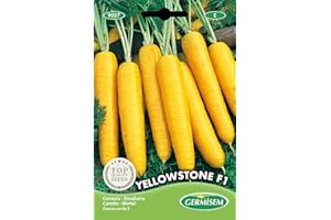 Germisem Yellowstone F1 Zanahoria 300 Semillas (EC9027)