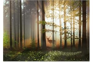 Runa Art Fototapete Wald Hirsch 352 x 250 cm Vlies Tapeten XXL Moderne Wandtapete Wohnzimmer Schlafzimmer Grün Gelb 9387011b