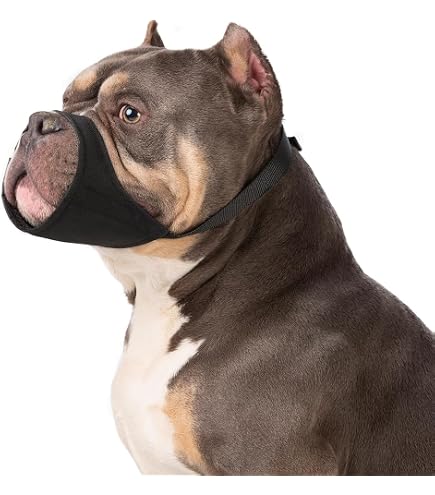 Bozal Para Gato Pequeño - Artero Complements - Material Resistente, Fácil De Colocar - Para Visitas Al Veterinario O Transporte