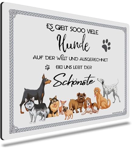 Dekoschild „Schönster HUND Der WELT – PEKINGESE“ – 20x12 Cm, Holzoptik, Persönlich Gravierbar