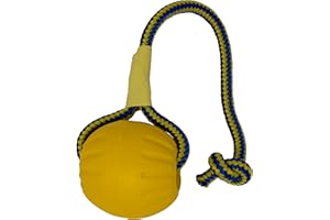 STARMARK Julius-K9 59838 Swing & Fling Durafoam Fetch Ball On A Rope - 2,5", Ø 6,4 Cm, M, Multicolor (SMFFBRM)