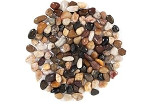 Lyaor 1kg Ciottoli Naturali 0,8-1,5cm Piccole Ciottoli di Ghiaia Lucidata Pietre di Colore Misto Ghiaia per Giardino Sassolini Decorativi per Acquario Vasi di Piante Paesaggistica