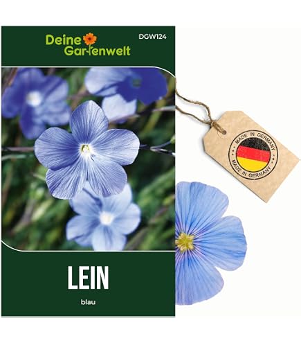 2000 Samen Echter Lein llein Flachs Linum usitatissimum Nutzpflanze  Wildblumen : Amazon.de: Garten