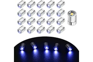 EKKONG Mini LED Decorative a Batteria - 20 Pezzi Micro Luci Accessori per Casa delle Bambole, Piccole Luci Giocattolo (Blu)