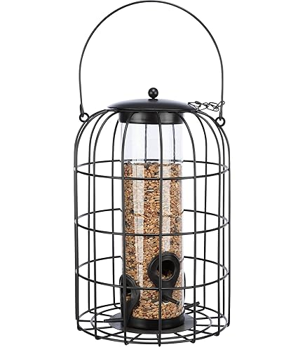 Mangeoire à Oiseaux En Treillis Métallique Mangeoire à Oiseaux Extérieure, Mangeoire à Oiseaux