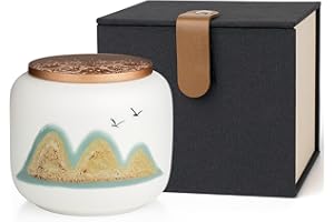 HCLRW Small Urns for Human Ashes, Ceramic Memorial Mini Ashes Urns, Hold 6.8 Cubic Inches of Ashes, Beautiful Mini Sharing Funeral Urns with Exquisite Box (White)