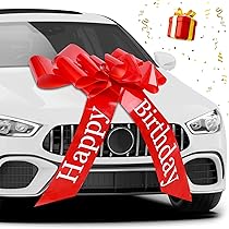 Lot De 18 Nœuds Cadeaux Auto-adhésifs En Organza Froissé - 2 Tailles (5.6cm Et 7.6cm) - Pour Emballage Rapide Et élégant