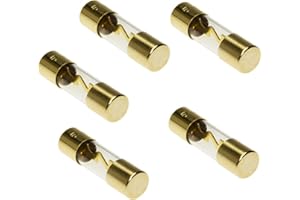 Lot de 5 fusibles de verre AGU doré 40 A pour voiture Adapter Universe