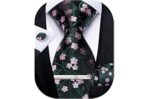 DiBanGu Men's Silk Woven Necktie Paisley Floral Tie Set with Pocket Square Cufflinks Tie Clip for Wedding Business