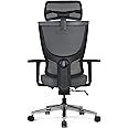 Realm of Thrones ADMIRAL Ergonomic Office Chair with Adjustable Seat-depth & Back-height, 4D Armrests, 3D Headrest, Adaptive Lumbar Support, Mesh Back, Comfort Cushion Seat, Swivel & Heavy Duty (Grey)