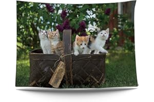 Ulticool – Póster de pared para gatos - 200 x 150 cm - póster de jardín - tapiz grande - accesorio de decoración para el jardín y el salón