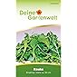 Rauke Samen | Blattsalat Rucola Saatgut | Raukesamen | Garten-Senfkraut | Eruca sativa