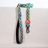 Ducks Leash Kedi K&ouml;pek Sevk &amp; Gezdirme Kayışı K&ouml;pek Uzatma Tasması