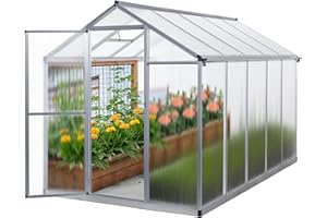 Gegaden Gewächshaus Aluminium für den Garten |Mit 8 cm dickeres Fundament| 301*190*195 cm | Vielseitig nutzbar als Treibhaus Gartenhaus Winterfest Aufzucht Tomatenhaus Frühbeet und Pflanzenhaus Grau