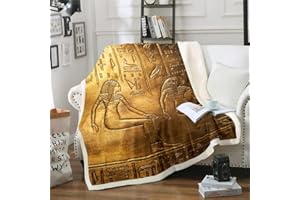 EROSEBRIDAL Gold Egyptian Print Blanket Throw Ancient Egypt Style Sherpa Blanket Old Egypt Hieroglyphics Pattern Fleece Blanket for Kids Adults Man Egyptian Civilization Fuzzy Blanket Sofa Decor Throw 50"x60"