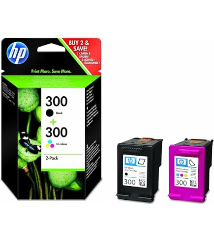 SMARTOMI 300XL Cartucce d'inchiostro Sostituzione per HP 300 XL Compatibile con PhotoSmart C4680 C4780 DeskJet F4580 F2480 F4280 F2420 F4500 D1660 D1663 D2560 Envy 100 114 110 120(1 Nero, 1 Colore