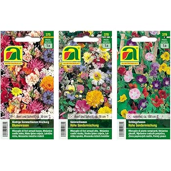 100 Graines De Fleurs Sauvages Mélangées - Annuelle Et Vivace Pour Jardin Naturel