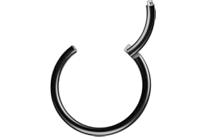 Piersando Universal Piercing Segmentring Septum für Tragus Helix Ohr Nase Lippe Brust Intim Scharnier Clicker Ring