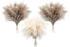 Songjum 36 PCS Pampas Grass Boho Decor Fluffy Pompas Grass Natural Dried Pampas Grass Small Short Pampass Bulk for Boho Home Decor Wedding Decor Table Decor （24pcsNatural+12pcs White）