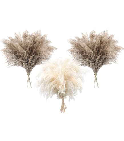 Lot De 50 Herbes De Pampa Artificielles/Séchées 40 Cm – Style Bohème Naturel Blanc – Idéal Pour Vases, Bouquets Mariage, Déco Intérieur Vintage Et Élégante