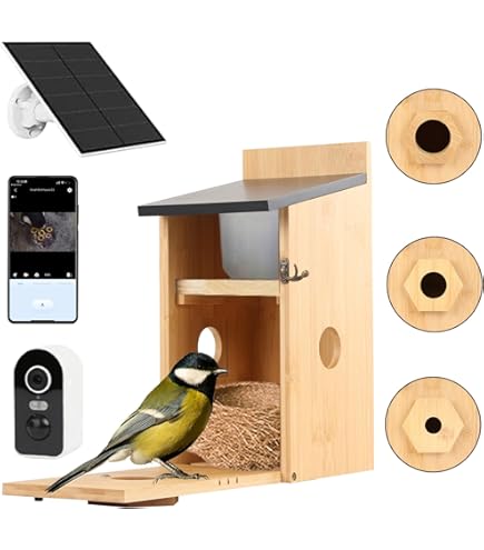 Vogelvoedercamera