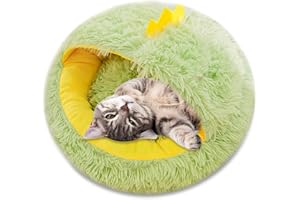 Galatée Lit De Grotte pour Animaux De Compagnie, Nid De Chat avec Coussin Intérieur Lavable Amovible, Câlin De Lit De Beignet en Peluche Douce, Lit De Chaton Lavable Et Moelleux（L, Dinosaure Vert