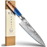 Atumuryou Japanese Knife, 20cm Damascus Knife 67 Layers, Japanese VG10 Professional Kitchen Knife, Ocean Blue Ergonomic Handl
