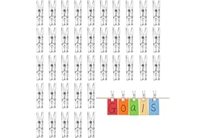 NAYAGOGO 40 PCS Clear Mini Crafting Pegs, 35MM Small Transparent Plastic Spring Pegs, For Hanging Photos, Cards, Paper Arts, Weddings, Parties Decoration