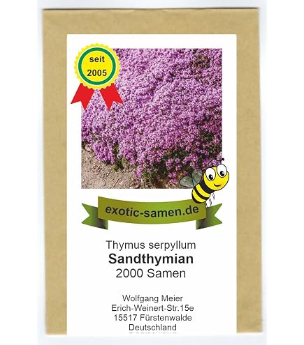 Kriechender Gnsel Rosea - Ajuga reptans - lebende Gartenpflanze aus den  Baumschulen : Amazon.de: Garten