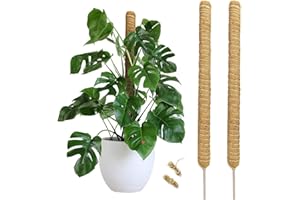 YAASIER 2 Stück 60cm Moosstab Pflanzstab Kokos, Rankhilfe Biegbare Moosstab für Rankhilfe Monstera,Pflanzstäbe Kokos Moosstab für Monstera Pflanze Rankhilfen für Monstera, Efeutute, Scindapsus Aureum