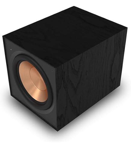 Klipsch R-100SW 10