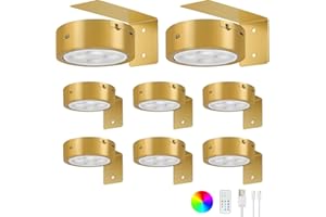 Lightess 8 Pack Picture Lights for Wall with Remote13 RGB Picture Frame Light LED Rechargeable Wall Lights Dimmable Timer&Touch Control Magnetic Battery Operated Darts Light,Gold