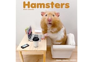 Hamsters Calendar 2024 | Square Animal Wall Calendar - 16 Month