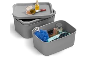 Iris Ohyama, Boîtes de Rangement avec couvercle, 6L, Gris, Plastique, Lot de 3, Panier pour étagère, Placard, Cuisine, Bureau, Dressing, SNL-S