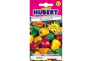 GRAINES HUBERT SEMENCES & ENGRAIS MAIROL 10 Graines de Mini-Poivrons F1 en Mélange