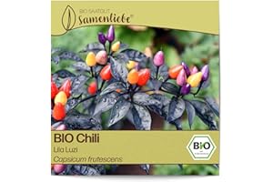 Samenliebe BIO Chili Samen Lila Luzi 10 Samen samenfestes Gemüse Saatgut für Gewächshaus Freiland und Balkon BIO Gemüsesamen