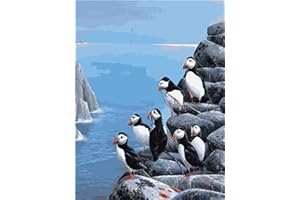 Paint by Number, Shukqueen DIY Oil Painting for Adults, Kids, Beginner's, 16X20 Inch, Frameless