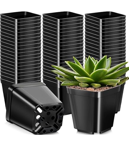 BluVast Plantenkweekset, 3 stuks, kweekschalen, kweekbakken, kweekkas