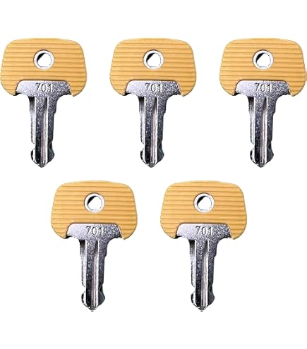 Chiave Interruttore Accensione In Acciaio Inox Per Carrello Elevatore L14/16 – Ricambio 7915492618 Con 2 Chiavi