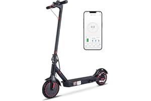 ZWHEEL Patinete eléctrico para Adulto Serie E9 E9 Basic hasta 20km de autonomía, 25km/h, Dos Modos de Velocidad, 300W Motor, Plegable, Control de Crucero, conexión App móvil