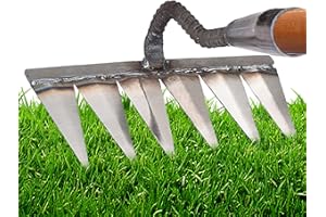 JINGAN Râteau À Déchaumeur en Métal, Râteau À Dents 4/5/6/7, Outils À Jardinage, Râteau Jardin en Métal Robuste pour Déchaumage, Désherbage, Superficie, Outil Cultivateur, Râteau À Roche