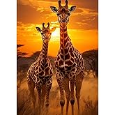 Diamond Painting Sleutelhanger 5D Draak 6 Stuks – Figured'Art