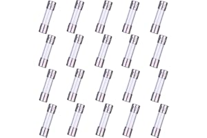 HUAREW F4AL250V 20 pezzi Fusibile in vetro ad azione rapida 5x20mm Fusibile ritardato 4A 250V 0,2x0,78 pollici (confezione da 20 pezzi)