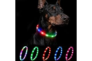 Nepfaivy Leuchthalsband Hund USB Aufladbar - Wasserdichtes Hundehalsband Leuchtend mit Verstellbarer Länge, LED Halsband für Hunde mit 4 Beleuchtungsmodi für Sicherheit, Mehrfarbig